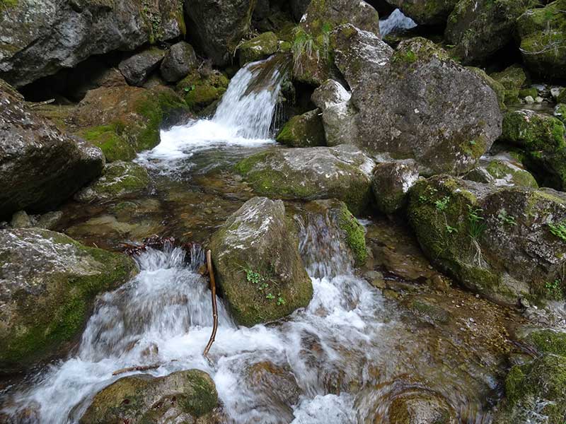 Steinwandklamm